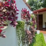 Crosscountry Inn - Minneriya, Sri Lanka