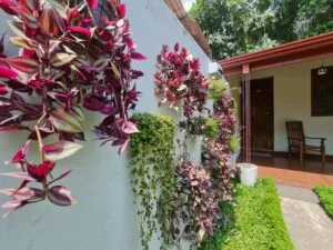 Crosscountry Inn - Minneriya, Sri Lanka